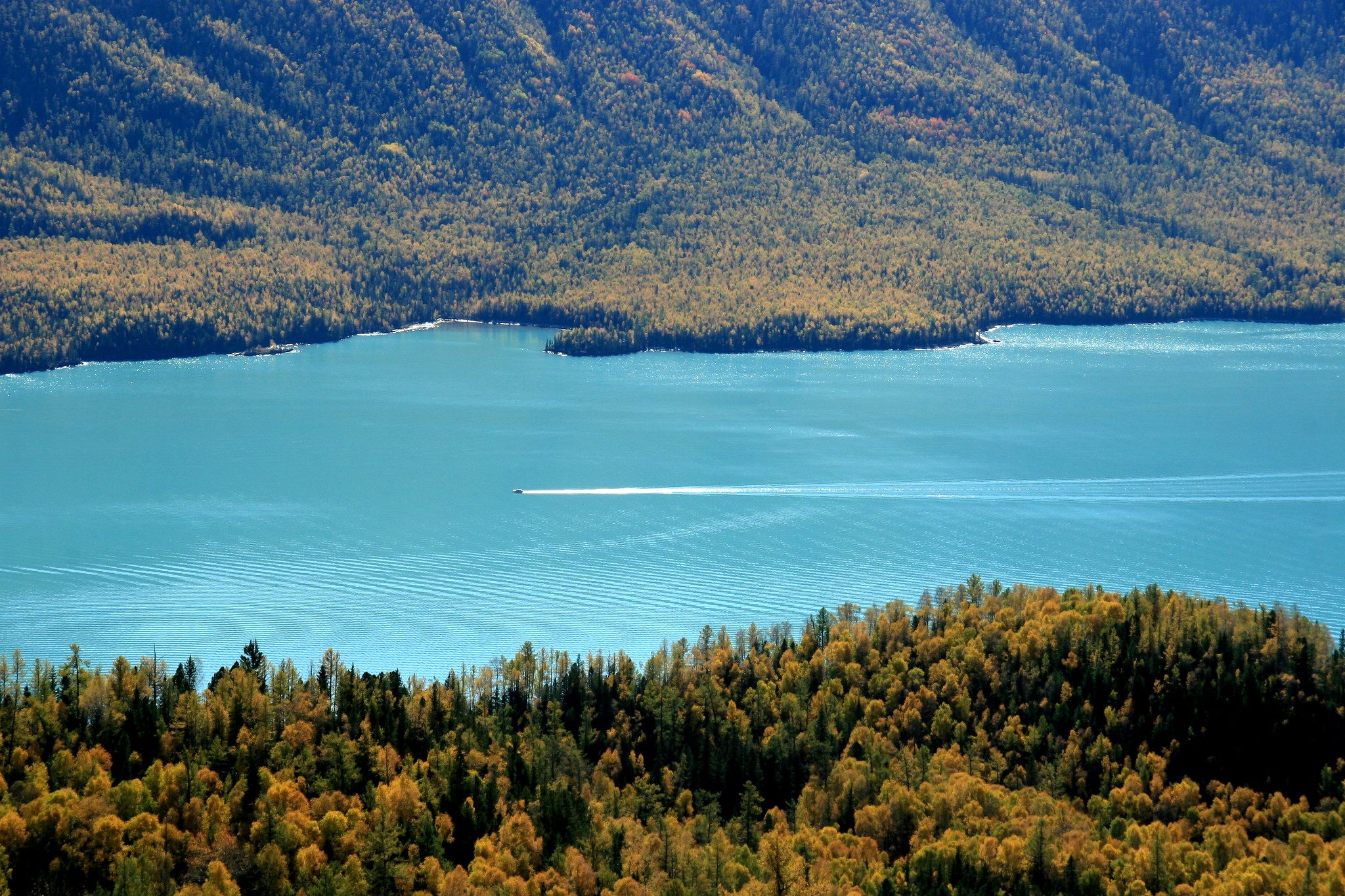 Massive fish may be lurking in the turquoise waters of Kanas Lake.