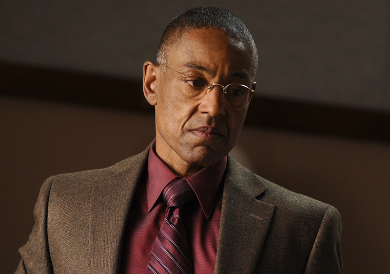 Gustavo Fring Picture