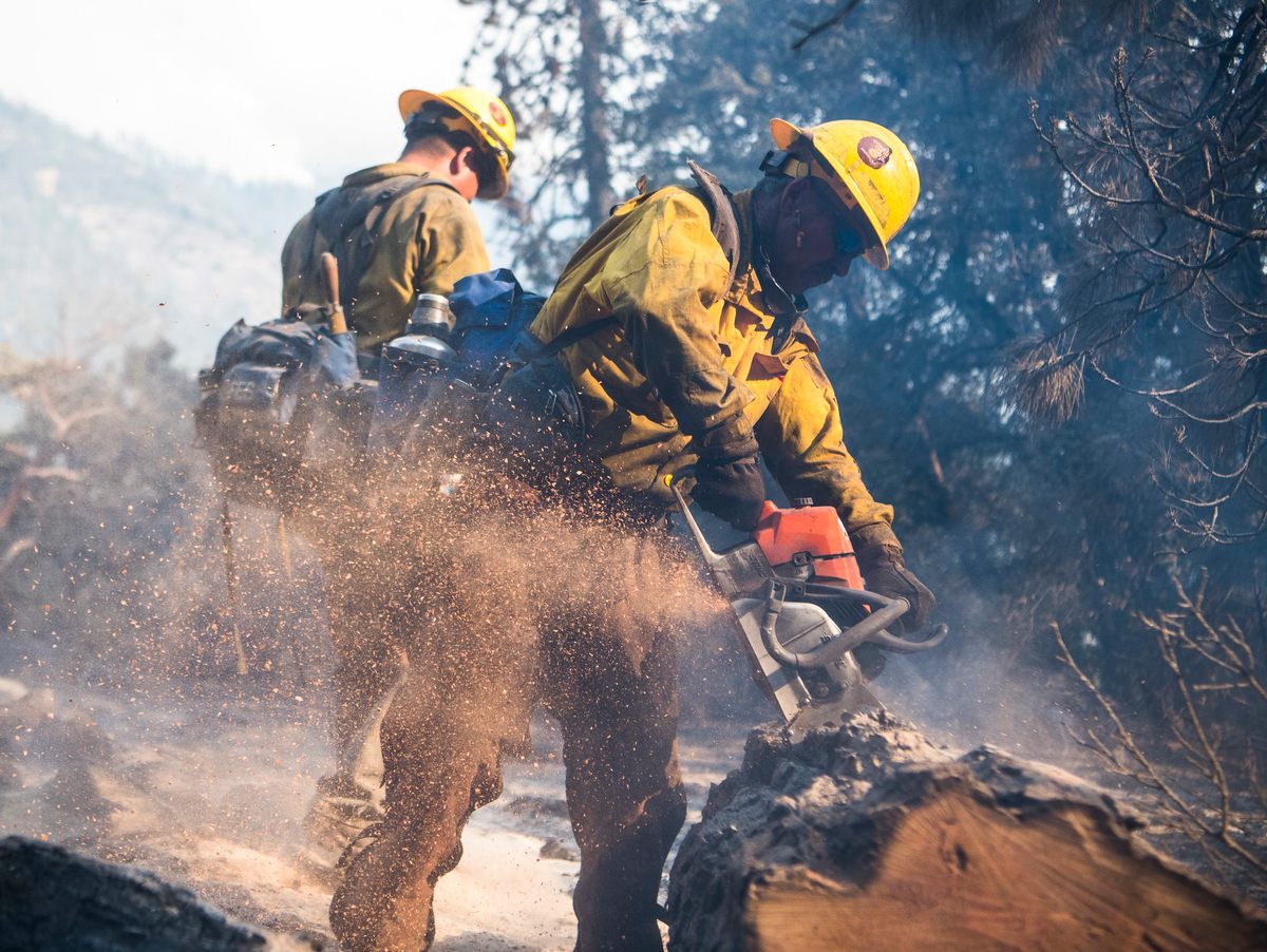 Crew members use a chainsaw to ensure a smoldering tree is fully out after the 2018 Ferguson Fire in Sequoia National Forest.