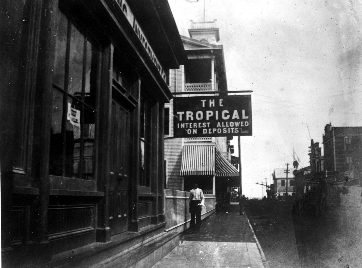 The Tropical Investment Company, circa 1900.