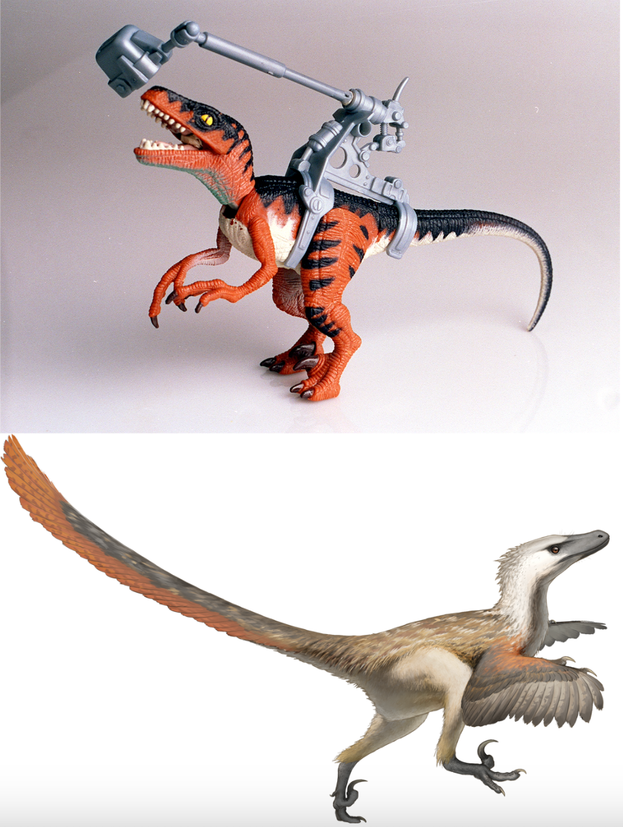 In real life, the <em>Velociraptor</em> was less like a reptilian movie monster (top) and more like a flightless hawk (bottom).