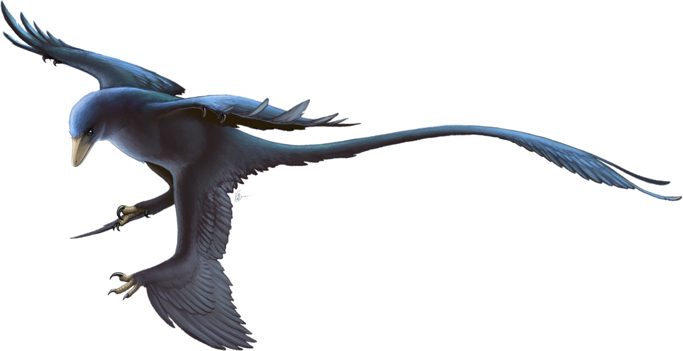 The four-winged <em>Microraptor</em> was first described by science in 2000, so reconstructions tend to be fairly scientifically accurate.