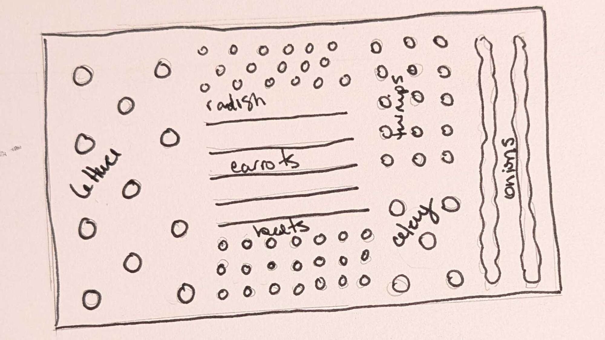 layout sketch for garden spacing